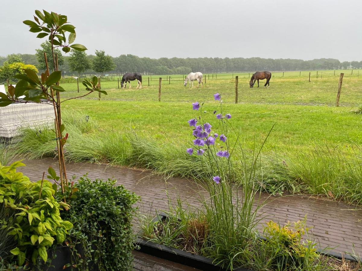 Bed and Breakfast 'T Heidepaleis Garderen Exteriér fotografie